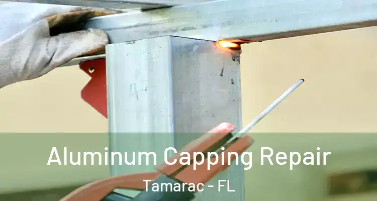  Aluminum Capping Repair Tamarac - FL