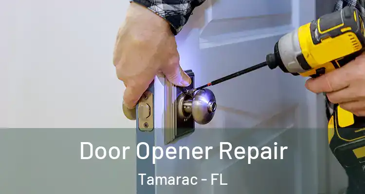  Door Opener Repair Tamarac - FL