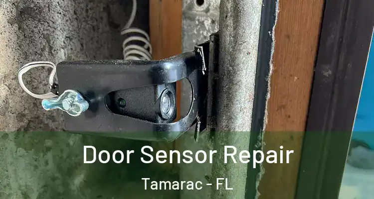  Door Sensor Repair Tamarac - FL