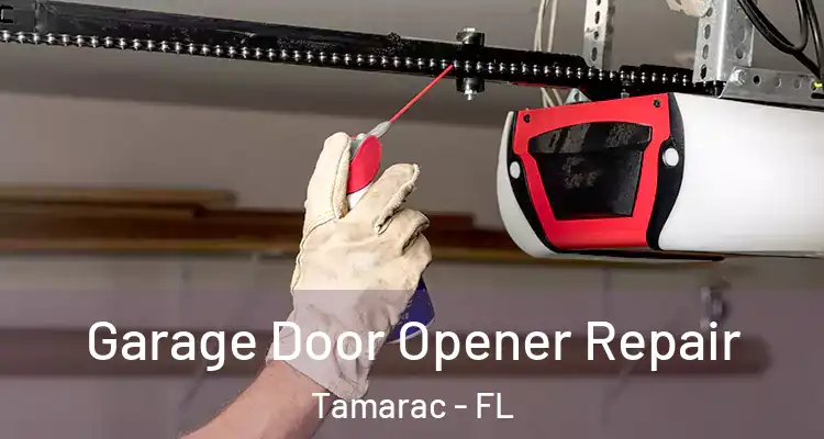  Garage Door Opener Repair Tamarac - FL
