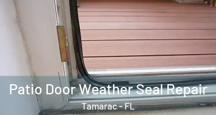  Patio Door Weather Seal Repair Tamarac - FL