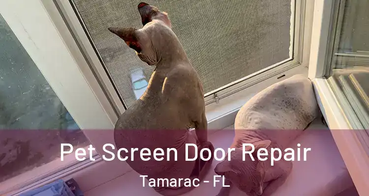  Pet Screen Door Repair Tamarac - FL