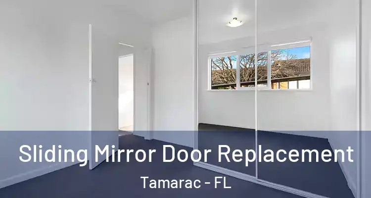  Sliding Mirror Door Replacement Tamarac - FL